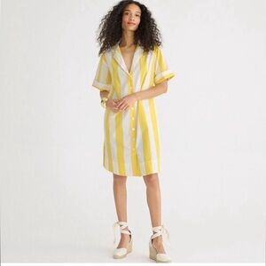 J.Crew Allegra striped shirt dress